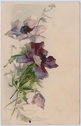 Catharina Klein (1861-1929) | Flickr - Photo Sharing! Catherine Klein, Tableau Art, Trendy Flowers, Watercolor Cat, China Painting, Watercolour Art, Delphinium, Morning Glory, Vintage Postcard