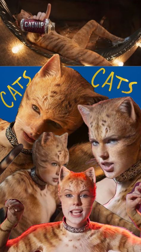 #Taylorswift #cats #macavity #bombalurina Bombalurina Cats, Macavity Cats, Taylor Swift Cat, Cat Movie, Jewish Girl, My Mood, Your Aesthetic, Creative Energy, Taylor Swift