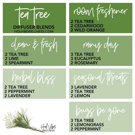 Rosemary Peppermint Essential Oil Blend, Rosemary Diffuser Blends Doterra, Rosemary Essential Oil Diffuser Blends, Grapefruit Diffuser Blend, Tea Tree Diffuser Blends, Rosemary Essential Oil Blends, Rosemary Diffuser Blends, Spearmint Diffuser Blends, Smells Like Christmas