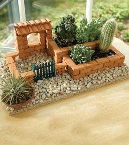 Tiny garden arranged with tiny brick walls. #fairygarden #fairygardenminiatures Flower Ranunculus, نباتات منزلية, Fairy Garden Designs, Fairy Garden Crafts, Mini Fairy Garden, Succulent Gardening, Fairy Garden Houses, Garden Terrarium, Brick Walls