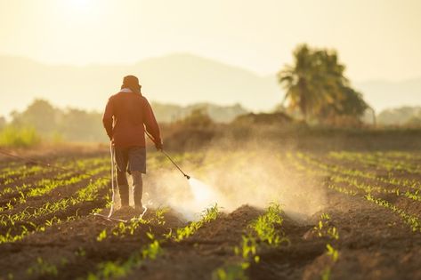 Agriculture Pictures, Bordeaux Vineyards, Agriculture Photography, Class Action Lawsuits, Soil Ph, Crop Image, Air Pollution, In Law Suite, Pesticides