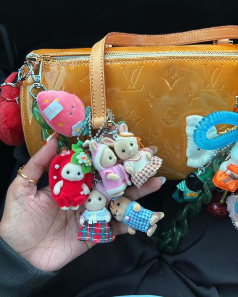 a trinket girl till i die Girls Who Cluster, Trinket Aesthetic, Trinket Bag, Aesthetic Items, Calico Critters Families, Arte Inspo, Sonny Angel, Pretty Bags, Sylvanian Families