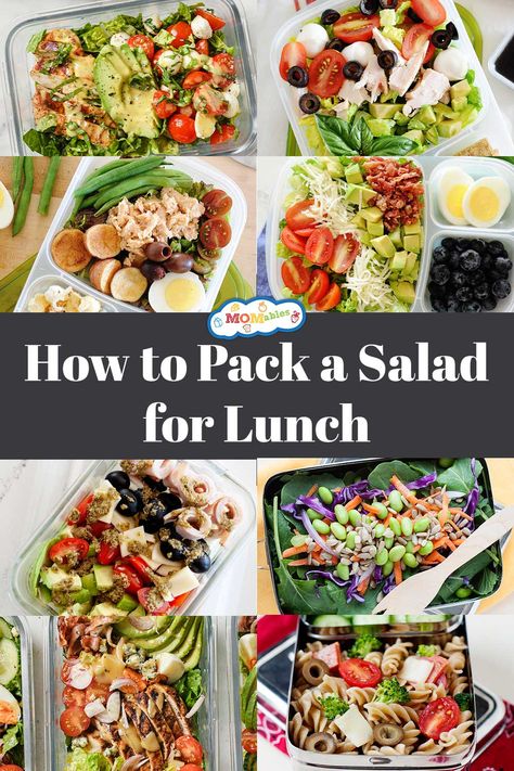 how to pack a salad for lunch Garden Salad Ideas, Salad For Lunch, Garden Salad, Lunch Salads, Stay Fresh, Healthy Salads, At School, Lettuce, Lunch Box