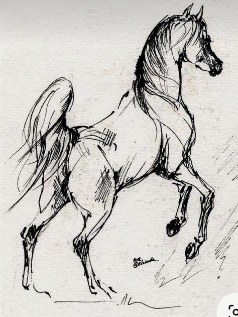 Horse Face Sketch, Drawing Horse, Form Drawing, Horse Sketch, Horse Face, Blue Horse, Face Sketch, Horse Drawing, Arabian Horse