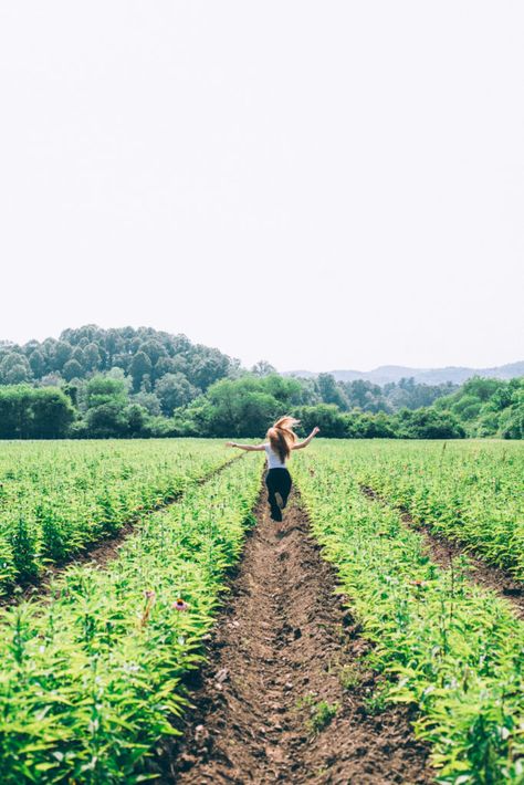 Organic Farming Aesthetic, Organic Farm Aesthetic, Organic Farming Photography, Herb Farming, Farm Moodboard, Farming Aesthetic, Farm Instagram, Agriculture Photography, North Caroline