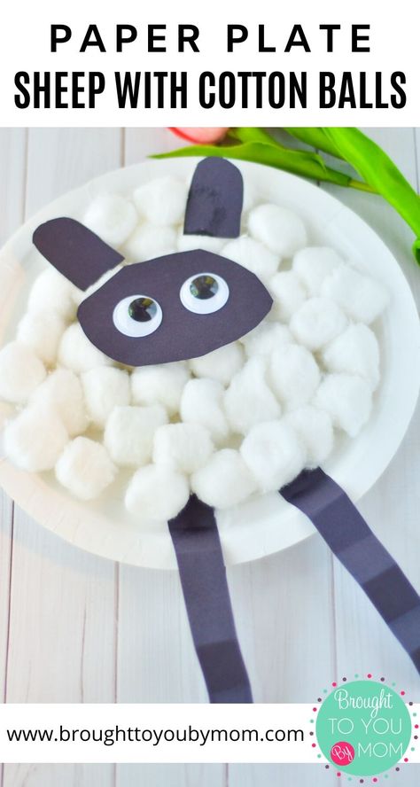 Lamb Crafts For Kids, Paper Plate Sheep, Lamb Crafts, Craft For Easter, Cotton Ball Crafts, Sheep Craft, Easter Craft For Kids, Easy Preschool Crafts, Paper Plate Craft