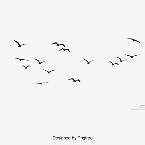 bird migration,海鸥剪贴画,飞鸟群飞剪影,birds,birds clipart,flock,bird,flying bird,seagulls,bird silhouette,black bird Birds Flying Png, Birds Silhouette Flying, Birds Flying Silhouette, Black Birds Flying, Flying Bird Drawing, Birds Background, Akvarel Illustration, Bird Background, Birds Silhouette