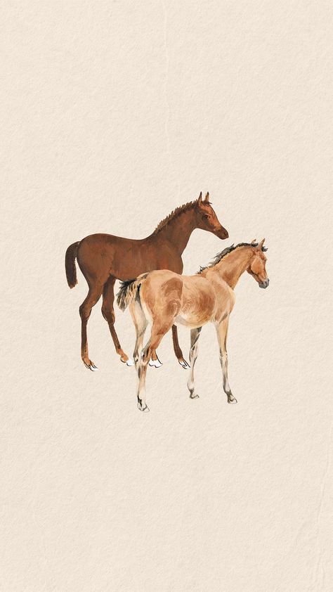 Not originally mine...just spreading the beauty. ♡ Aesthetic Horse, Equestrian Aesthetic, Horse Wallpaper, Horse Drawings, Country Western, Horse Art, Beautiful Horses, Wallpaper Ideas, Phone Wallpapers