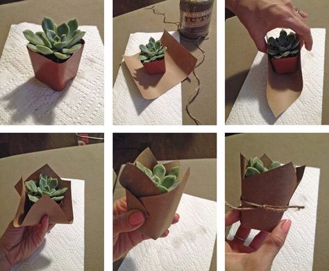 Mini succulent party favors Succulents For Bridal Shower Favors, Wedding Favor Succulent, Diy Plant Party Favors, Party Favor Succulents, Inexpensive Boho Centerpieces, Plants Party Favors, Succulents For Wedding Favors, Succulent Party Favors Diy, Succulent Favors Wedding