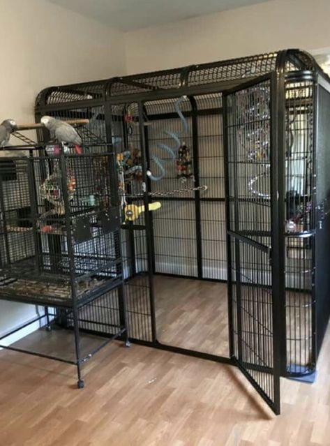 Pet Bird Enclosure, Cockatiel Enclosure, Huge Bird Cage, Macaw Cage Ideas, Macaw Enclosure, Big Bird Cage Ideas, Budgie Enclosure, Indoor Aviary Ideas, Budgie Cage Ideas