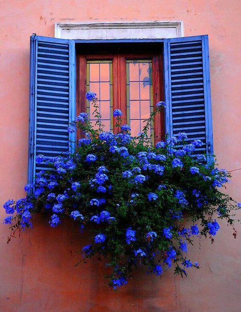 ¡Ventana con flores azules! / Vista www.agua-casa.es                                                                                                                                                     More Blue Shutters, نباتات منزلية, Beautiful Windows, Window Boxes, Beautiful Doors, Love Blue, Alam Yang Indah, Window Box, Flower Boxes