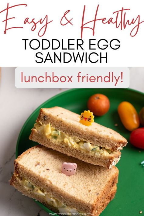 healthy toddler egg sandwich is an excellent lunch box meal to pack for your toddler's school or day care. This sandwich is made with Greek yogurt and eggs both are rich in protien to keep your kid feel full. This even has some hidden veggies for your picky eater to try some veggies. Toddler Sandwich Ideas, Sandwiches For Toddlers, Egg Sandwich Lunch, Toddler Sandwiches, Boiled Egg Sandwich, Easy Toddler Lunches, Kid Sandwiches, Toddler Lunch Box, Egg Salad Sandwich Recipe