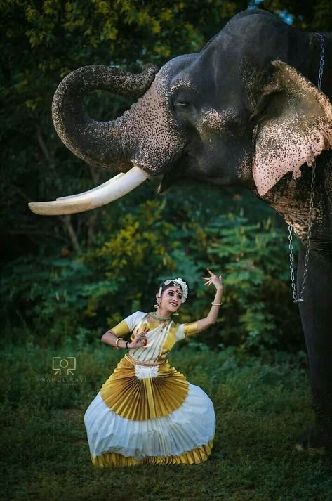 Elephants Aesthetic, Elephants Photography, Elephants Wallpaper, Biker Logo Design, Asiatic Elephant, Elephant Photo, Indian Classical Dancer, Bharatanatyam Poses, Dance Of India