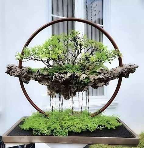 Bonsai Tree Types, Bonsai Tree Care, Beautiful Terrariums, Garden Art Ideas, Bonsai Art, Garden Art Sculptures Diy, Garden Terrarium, Garden Artwork, Bonsai Plants