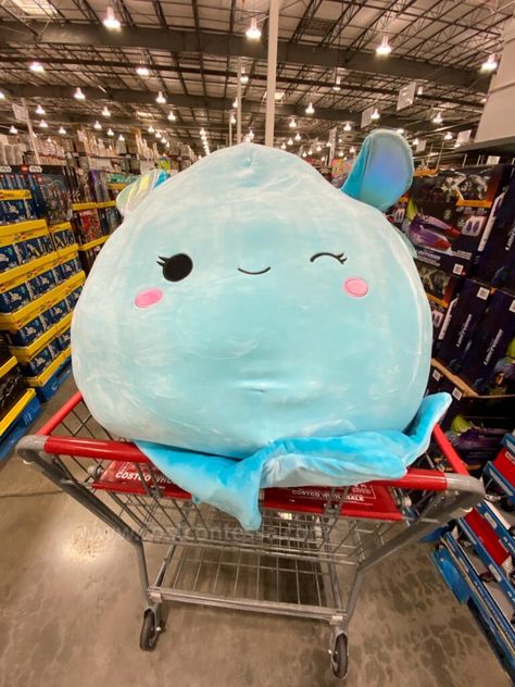 Big Squishy Stuffed Animal, Giant Squish Mellows, Cute Squishmallows Big, Really Big Squish Mellows, Squishmallows Big Size, Costco Squishmallow, Squish Mellows Big, Store Squishmallows, Huge Squishmallows