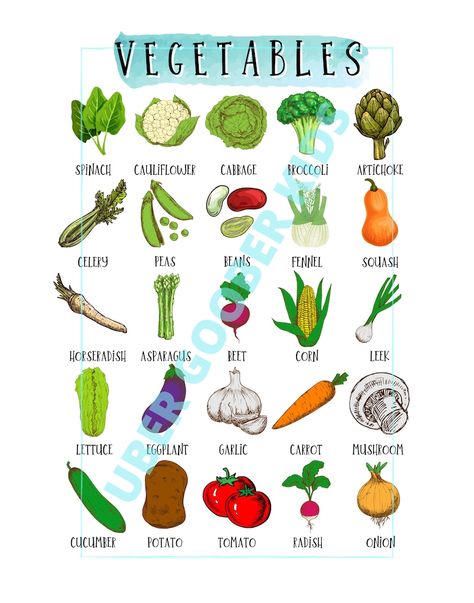 Fruits And Vegetables: List, English Names And Pictures 881 Chicken Gravey, Vegetables Names With Pictures, Vegetables Printable, Vegetables Poster, Vegetables List, Nutritious Vegetables, Most Nutritious Vegetables, Fruits And Vegetables List, Name Of Vegetables