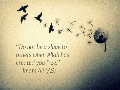 Do not be a slave to others when Allah has created you free. -Hazrat Ali (AS) Hazrat Ali Quotes, Hazrat Ali Sayings, Imam Ali Quotes, Hazrat Ali, Ali Quotes, Allah Islam, Imam Ali, Islamic Quotes Quran, Islam Facts