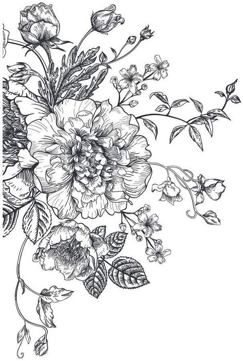 Floral Print Sketch, Flower Illustrations Black And White, Aesthetic Prints Black And White, Detailed Flower Drawings, Black And White Prints Aesthetic, Floral Illustrations Black And White, Black And White Drawings Aesthetic, Black And White Flower Wallpaper, Black And White Flower Drawing