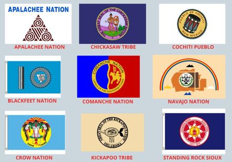 Examples of other famous Native American flags. Chickasaw Tribe, Native American Flag, Gb Flag, Sioux Tribe, Shamanic Journey, Standing Rock, Navajo Nation, American Flags, Native American Tribes