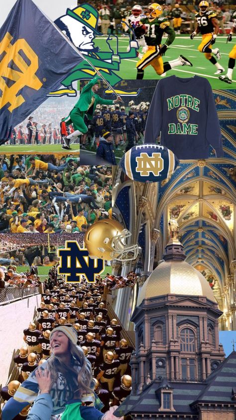 Notre Dame University Notre Dame Wallpaper, Noter Dame, Notre Dame College, Law School Graduation Gift, College Tennis, College Vision Board, College Game Days, College Aesthetic, Notre Dame Football