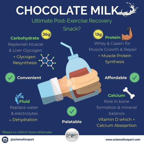 Discover the delightful world of milk chocolate and its incredible benefits, from mood-boosting antioxidants to improved heart health! - #advantagesofdairychocolate #advantagesofmilkchocolate #benefitsofcreamymilkchocolate #benefitsofmilkcocoa #benefitsofsweetmilkchocolate #gainsofmilkchocolate #meritsofmilkchocolate #perksofmilkchocolate #plusesofmilkchocolate #positiveaspectsofmilkchocolate Milk Benefits Health, Drinks Chocolate, Benefits Of Milk, Milk Benefits, Drinking Milk, Muscle Protein, Improve Heart Health, Post Workout Recovery, Protein Synthesis