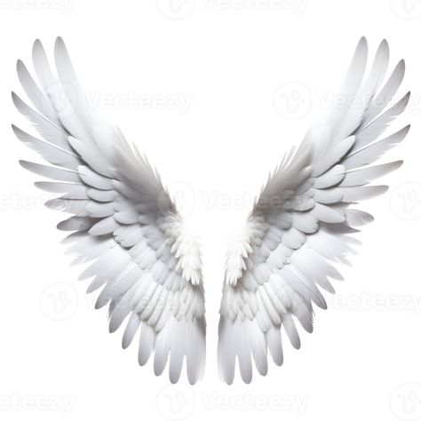 White Wings Isolated on Transparent Background. AI Generative Wings Png, Bird Wings, White Wings, Logo Banners, Cityscape Photos, Nature Backgrounds, Heart With Arrow, Reference Photos, Background Banner