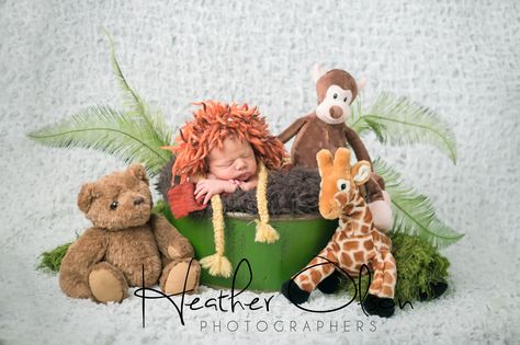 King of the Jungle! lion king Safari Maternity Shoot, 3 Month Old Baby Pictures, Noahs Ark Baby Shower, Newborn Ideas, Baby Boy Newborn Pictures, Born Photography, Jungle Lion, Baby Milestones Pictures, Foto Newborn