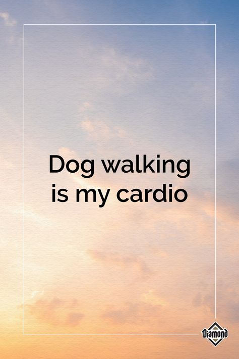 Text meme about dog walking featuring a blue and orange sunset background. The text reads “Dog walking is my cardio.” Wallpaper Relatable, Senior Dog Food Recipes, Memes Dog, Cat Food Brands, Walking Your Dog, Dog Quote, Benefits Of Walking, Dog Food Brands, Dog Quotes Funny