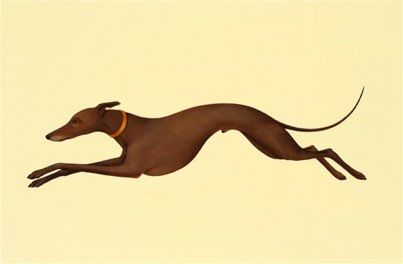 Whippet Tattoo, Dog Running Drawing, Lurcher Drawing, Greyhound Illustration, Greyhound Dog, Whippet Art, Whippet Illustration, Dog Jumping Illustration, Tattoo Perro