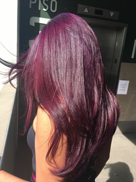 Red Violet Hair Purple Red Tinted Hair, Cherry Red And Purple Hair, Dark Red Hair With Purple Undertones, Maroon Violet Hair, Haircuts With Red Hair, Purplish Red Hair Color, Cherry Red Purple Hair, Dark Reddish Purple Hair, Dark Purple And Red Hair