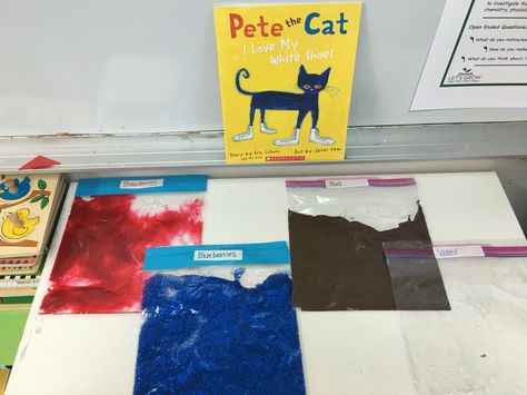 Pete the Cat I Love My White Shoes sensory story telling :) Pete The Cat Literacy Activities, Pete The Cat Rockin In My School Shoes Activities, Pete The Cat Theme Preschool, Pete The Cat And His White Shoes Activities, Pete The Cat New Shoes Activities, Pete The Cat Science Activity, I Love My White Shoes Craft, Pete The Cat Sensory Activities, Pete The Cat Sensory Table