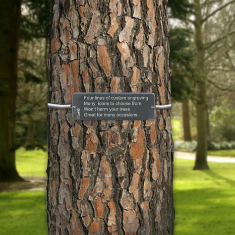 All Memorials - Memorial Tree Plaque, $54.95 (http://www.allmemorials.com/memorial-tree-plaque/) Tree Plaque Ideas, Memorial Tree, Memorial Tree Planting Ideas, Accident Site Memorial Ideas, Memorial Garden Around Tree, Memorial Tree Ideas, Memorial Plaques Outdoor, Tree Memorial Plaque, Outdoor Learning Spaces