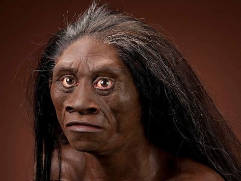 Homo Floresiensis, Prehistoric Planet, Human Genome, Human Evolution, Early Humans, Jaw Bone, Human Species, Red Deer, Botanical Beauty