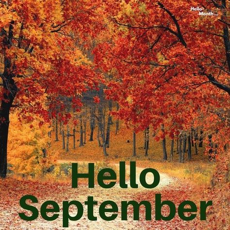 Hello September October Pictures Fall, Welcome October Images, September Season, October Images, October Pictures, September Pictures, September Month, Welcome October, Quotes For Instagram Captions