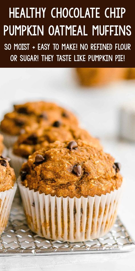 Low Cal Pumpkin Muffins, Low Fat Pumpkin Muffins, Healthy Pumpkin Oatmeal Muffins, Chocolate Chip Oatmeal Muffins, Healthy Pumpkin Chocolate Chip Muffins, Greek Yogurt Pumpkin, Easy Pumpkin Oatmeal, Pumpkin Chocolate Chip Muffin Recipe, Healthy Chocolate Chip Muffins