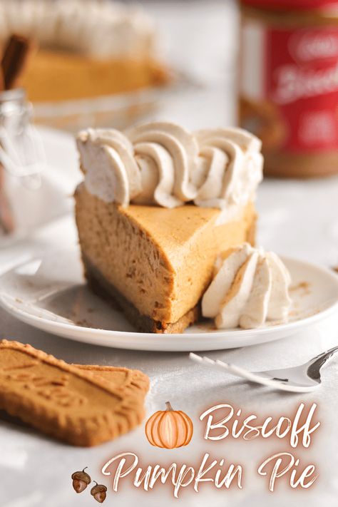 Biscoff Pumpkin Pie - A baJillian Recipes Pumpkin Pie Biscoff Crust, Biscoff Crust, Spiced Whipped Cream, Duff Goldman, Speculoos Cookies, Biscoff Cookie Butter, American Desserts, Biscoff Cookies, Cookie Butter