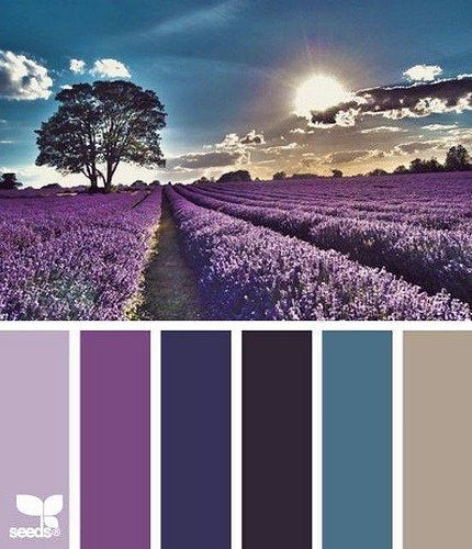 Photo Blurb ebook: Nature Made Color by Seed Design Consultancy LLC ift.tt/2phgMgC Palette Design, Color Palate, Design Seeds, Colour Schemes, Color Swatches, Color Pallets, Sherwin Williams, Color Themes, Color Theory