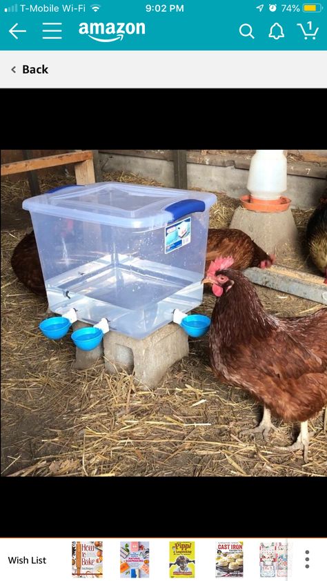 Small Diy Chicken Coop Ideas, Chicken Keeping For Beginners, Chicken Gym Ideas, Rooster Coop Ideas, Diy Mobile Chicken Coop, Recycled Chicken Coop Ideas, Low Budget Chicken Coop Ideas, Duck Housing Ideas, Chicken Gazebo