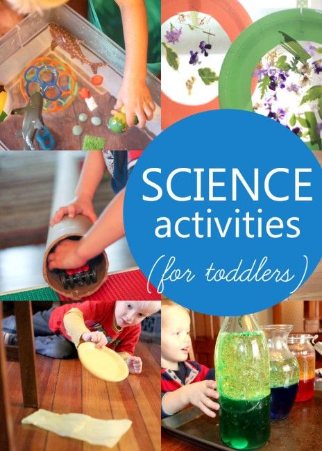 A bunch of science activities for toddlers that would be great for a science theme Science Activities For Toddlers, Childcare Ideas, Science For Toddlers, Science Week, Science Experiments For Preschoolers, Science Themes, Activities For Toddlers, Preschool Science, Tot School