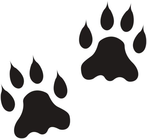 Lion Paw Tattoo, Lion Footprint, Lion Paw Print, Paw Print Drawing, Paw Stencil, Lion Paws, College Night, Animal Footprints, Ga Bulldogs