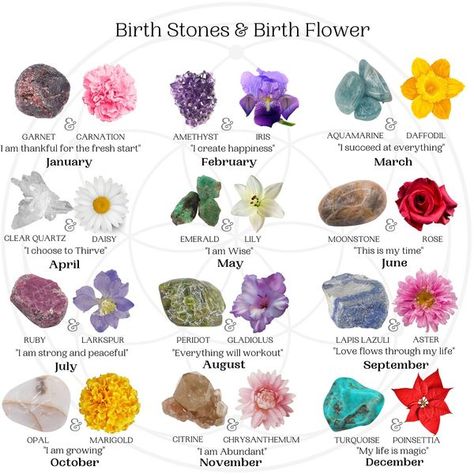 Birth Signs, Fantasy Story Ideas, Birthday Stone, Succulent Garden Diy, Flower Meanings, Happy Soul, Fantasy Story, Language Of Flowers, Succulent Garden