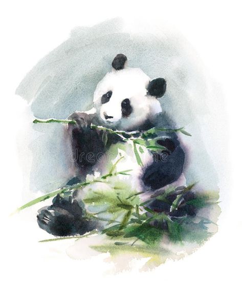 Panda Painting, Panda Drawing, Arches Watercolor Paper, Panda Art, Animal Illustrations, Watercolor Images, Watercolor Animals, Watercolor Cards, Animal Illustration