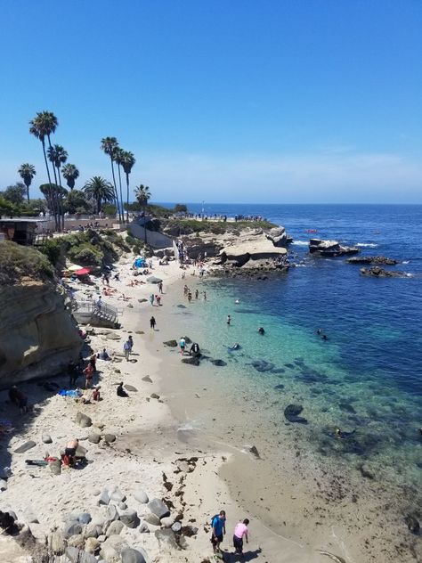 San Diego Beaches: La Jolla Cove - Fun Diego Family San Diego Vibes, Coronado Island San Diego, San Diego Activities, Coronado Bridge, Underwater Park, Sunset Cliffs San Diego, San Diego Trip, La Jolla Shores, Coronado Island