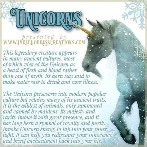 Unicorn Mythology, Animal Witch, Lion Unicorn, Animal Totem Spirit Guides, Unicorn Presents, Cloven Hooves, Spirit Animal Meaning, Animal Meanings, Spirit Animal Totem