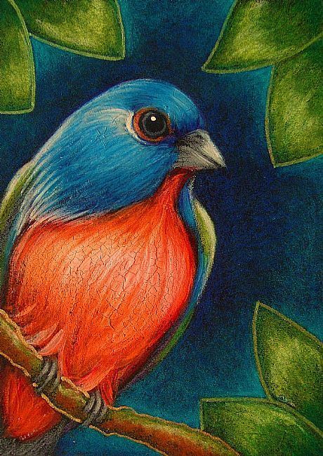 Pencil Colour Painting, Bunting Bird, Bird Paintings On Canvas, Soft Pastels Drawing, Painted Bunting, Soft Pastel Art, Crackle Painting, Oil Pastel Paintings, Flower Painting Canvas