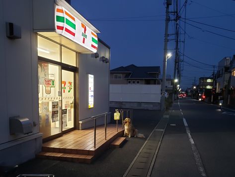 7 11 Japan, Japan Convience Store, 7/11 Night, Aesthetic Convience Store, 7/11 Store, Japanese 7-11, 7 11 Aesthetic Night, 7/11 Aesthetic, Japan 7/11