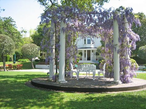 wisteria growing up columns - source unknown  I could have columns like this made out of pipe-David???? CB Wisteria Archway, French Country Garden, Victorian Ladies, Romantic Cottage, Charming Garden, Deck Garden, Garden Structures, Outdoor Art, Backyard Oasis