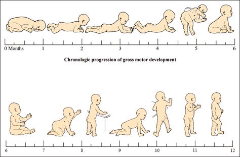 Development Milestones, Pediatric Physical Therapy, Pediatric Occupational Therapy, Motor Development, Pediatric Therapy, Developmental Milestones, Childhood Development, Baby Growth, Baby Massage