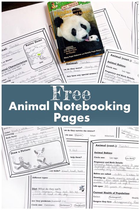 Free Notebooking Pages, Mammal Unit Study, Animal Unit Study, Notebooking Homeschool, Homeschool Notebooking, Learning Animals, Butter Fish, Magic Tree House Books, Notebooking Pages