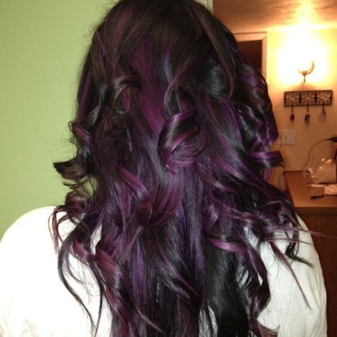 My black with purple highlights! Loved loved loved it!! Violet Highlights On Dark Hair, Black With Purple Highlights, Violet Interior, Violet Highlights, Plum Hair, Bridget Bardot, Violet Hair, Hair Color Burgundy, Purple Highlights